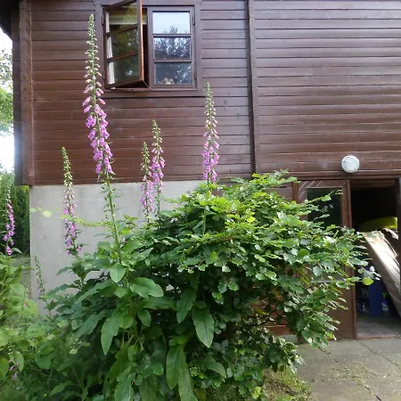 Vile House